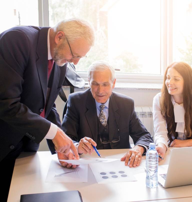 Business team analyzing income charts
