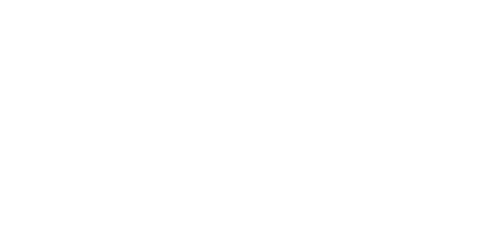 Lincoln Financial